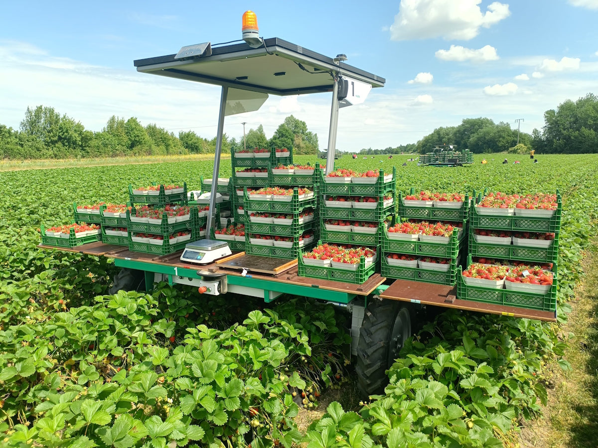 VALERA FLEX Harvest Robot