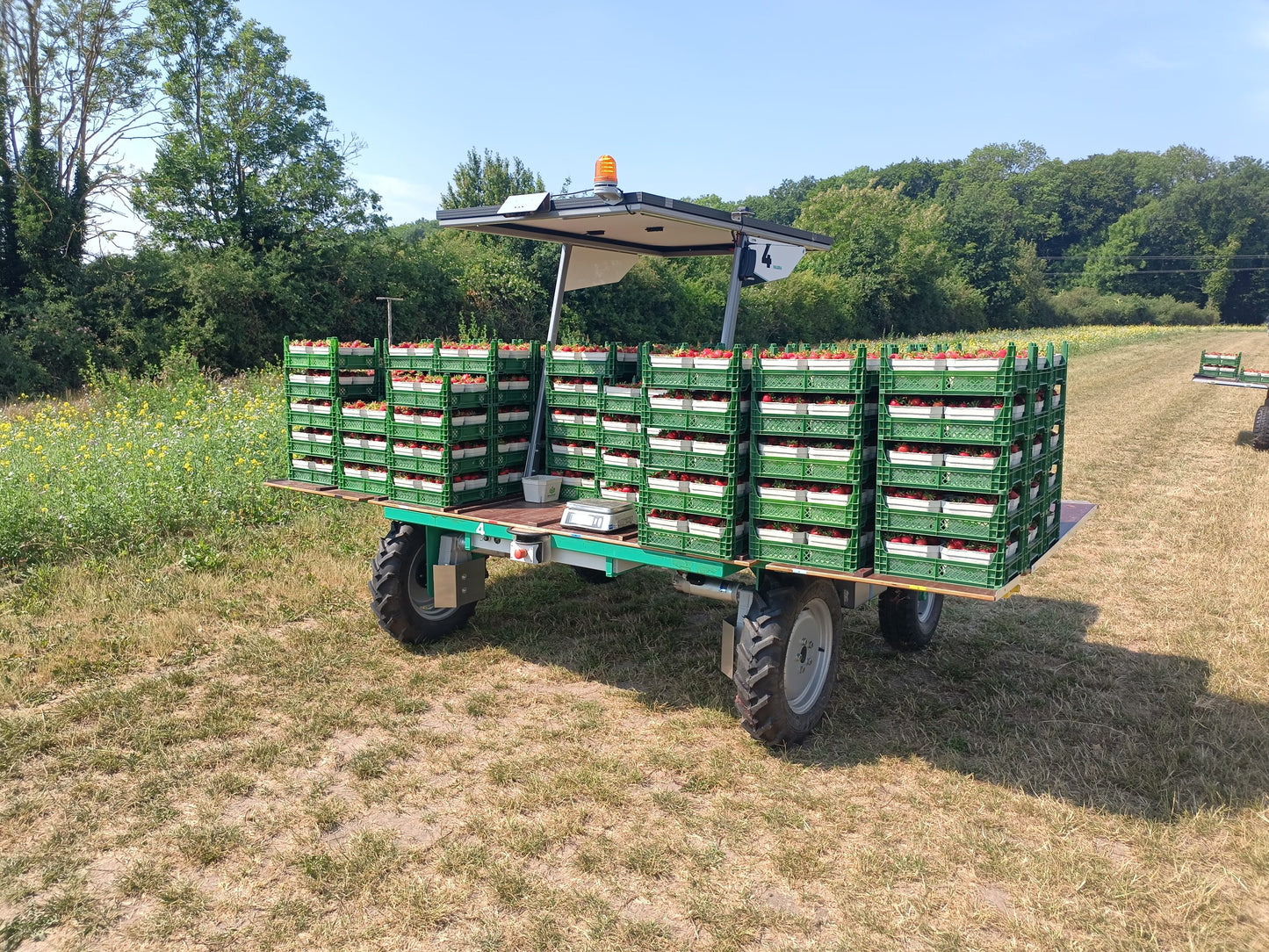 VALERA FLEX Harvest Robot