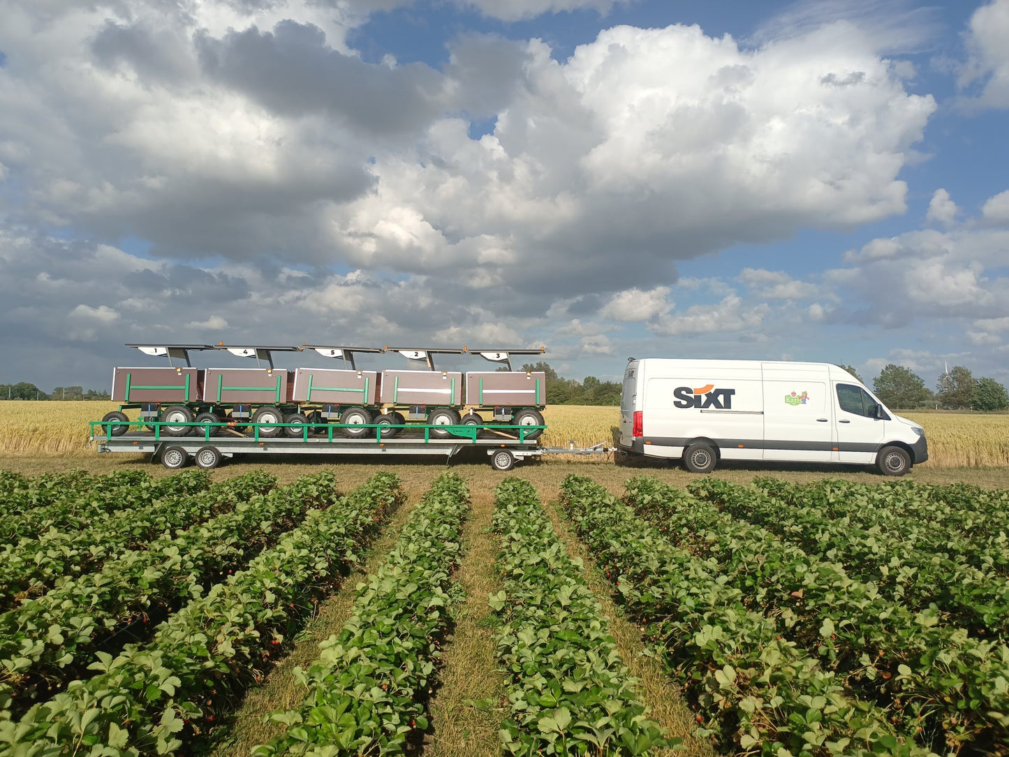 VALERA FLEX Harvest Robot